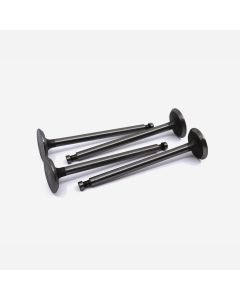 VALVE - Inlet (Set of 4) - GPW / MB