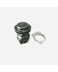 PUMP - Water with gasket  for GPW 