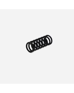 Cam Shaft Plunger Spring