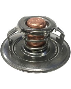 Fast Flow Thermostat 