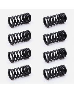 Valve Spring SET