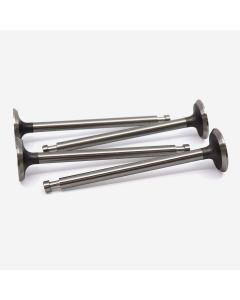 Exhaust Valve SET (Stainless Steel)